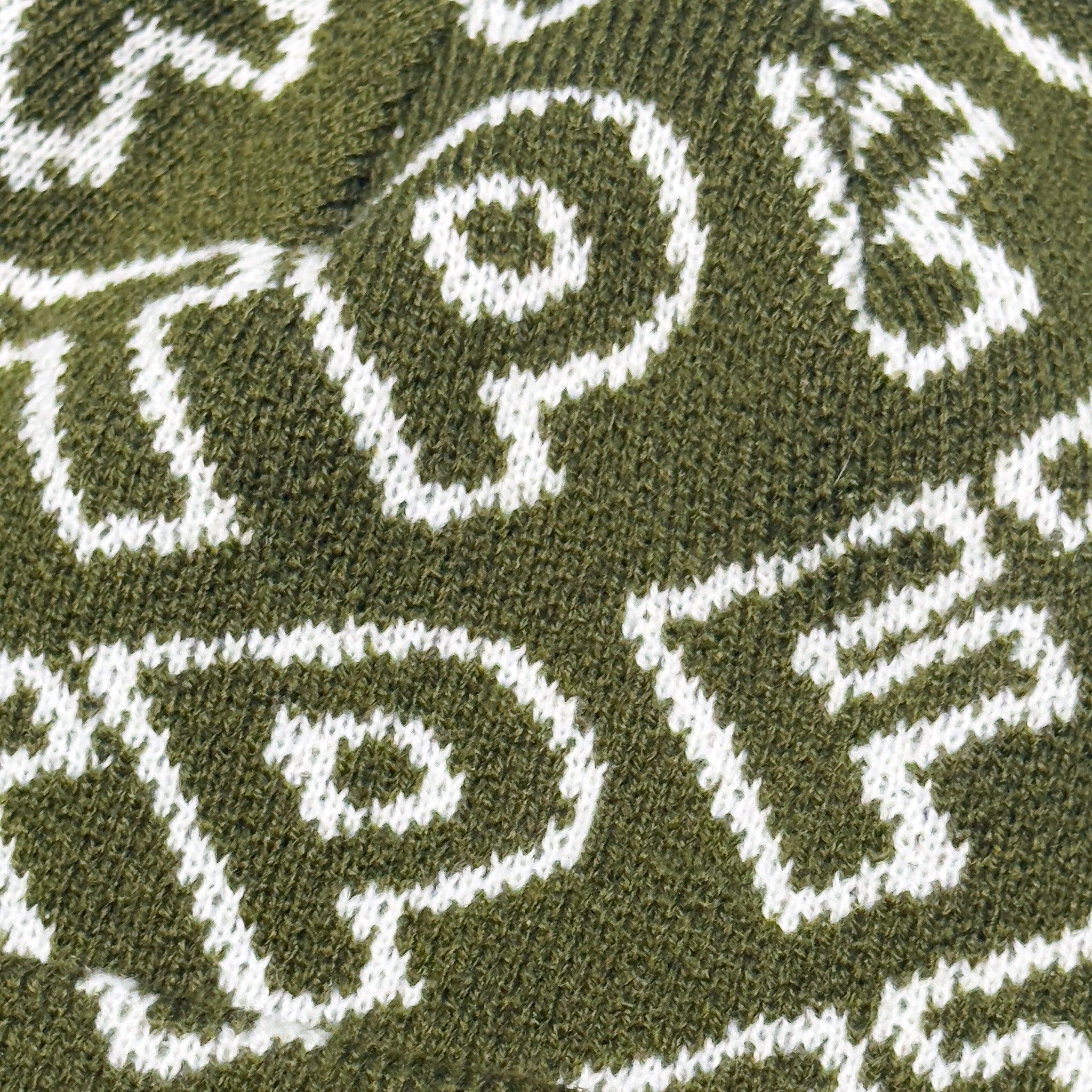 FTP Beanie
