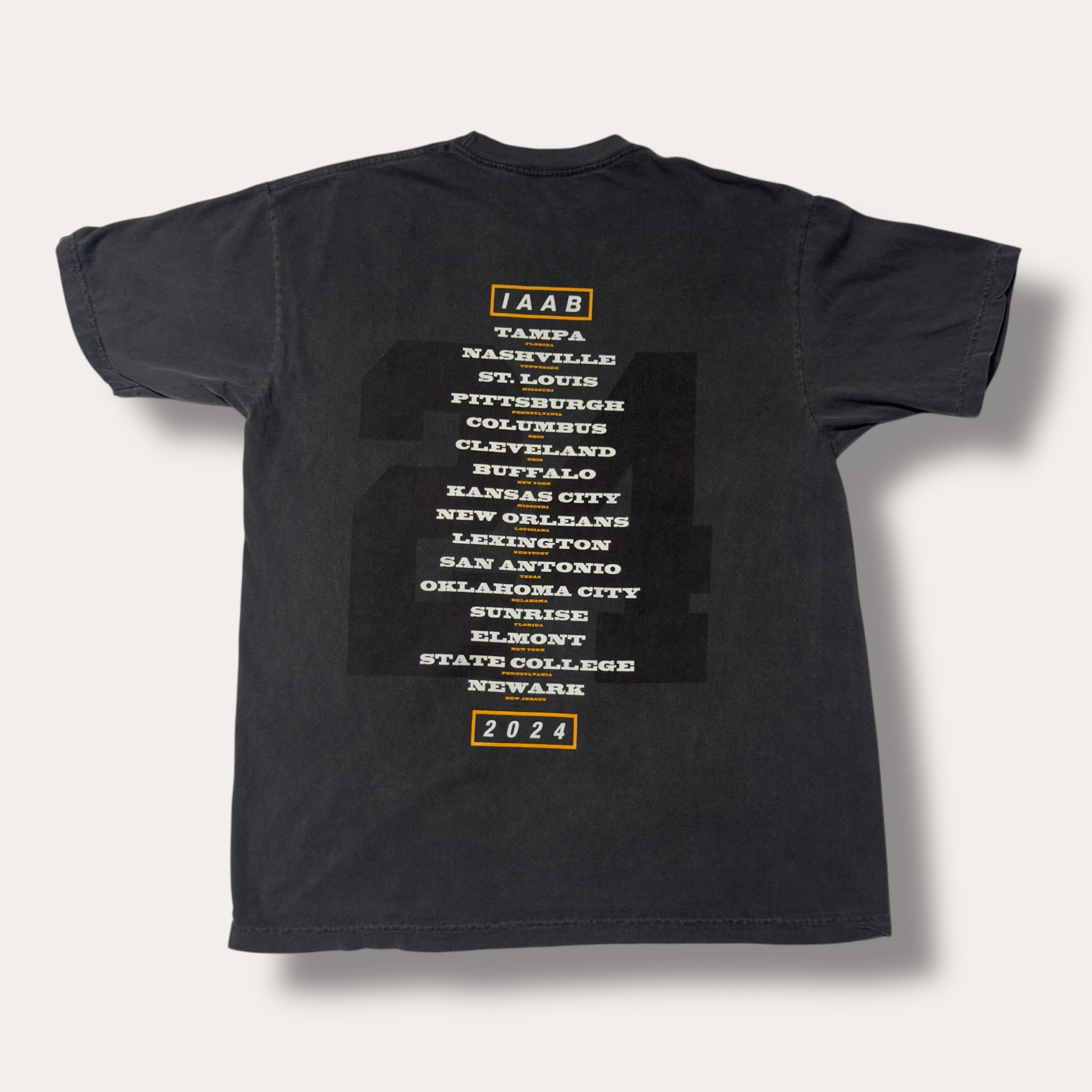 Drake IAAB Concert Tee